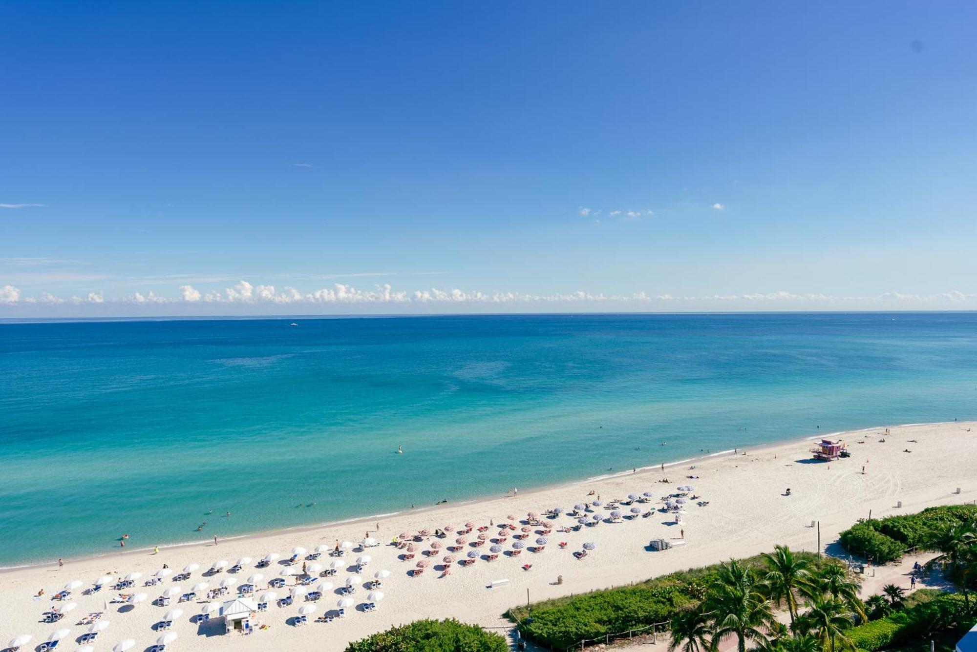 Monte Carlo Miami Beach Room photo